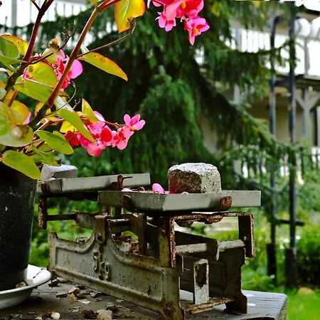 Farm stay W Pamietniku